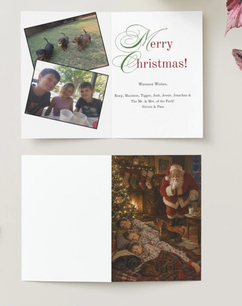 Merry Christmas family pet holiday card